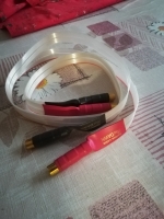 Nordost red dawn xlr in rca