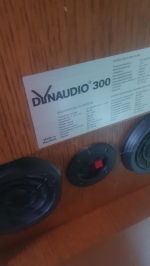 dynaudio msp 300
