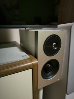 Definitive Technology Demand 9